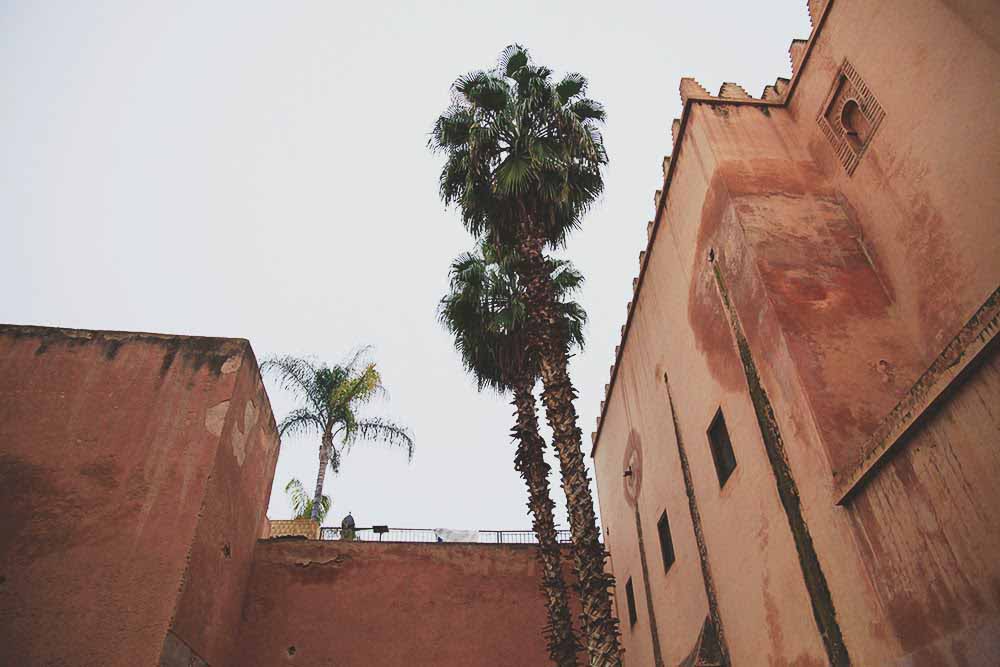 palmiers marrakech